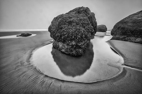 Bandon Beach-Oregon Black Ornate Wood Framed Art Print with Double Matting by Ford, John