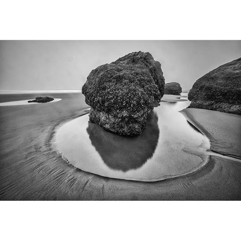Bandon Beach-Oregon Gold Ornate Wood Framed Art Print with Double Matting by Ford, John