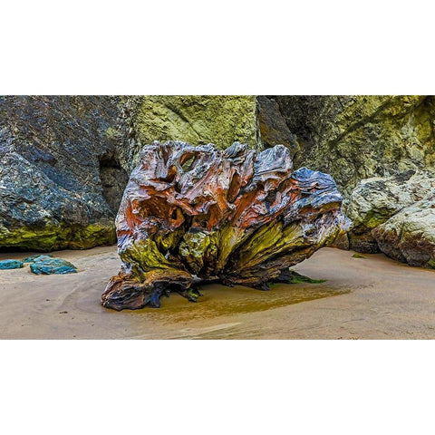 USA-Oregon-Bandon-Beach Black Modern Wood Framed Art Print with Double Matting by Restuccia, Joe III