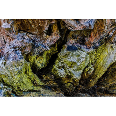 USA-Oregon-Bandon-Beach Gold Ornate Wood Framed Art Print with Double Matting by Restuccia, Joe III