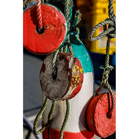 USA-Oregon-Charleston Gold Ornate Wood Framed Art Print with Double Matting by Restuccia, Joe III