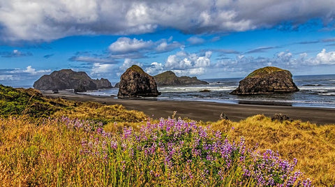 USA-Oregon-Cape Sebastian White Modern Wood Framed Art Print with Double Matting by Restuccia, Joe III