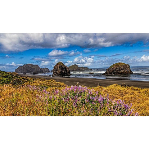 USA-Oregon-Cape Sebastian Black Modern Wood Framed Art Print by Restuccia, Joe III