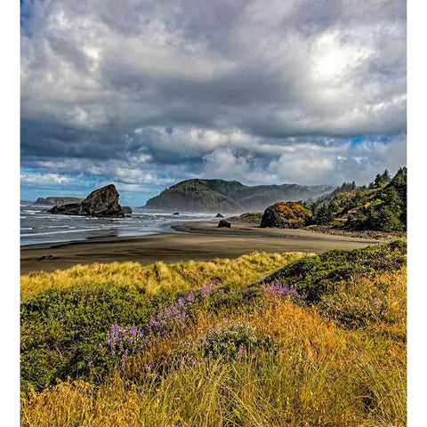 USA-Oregon-Cape Sebastian White Modern Wood Framed Art Print by Restuccia, Joe III