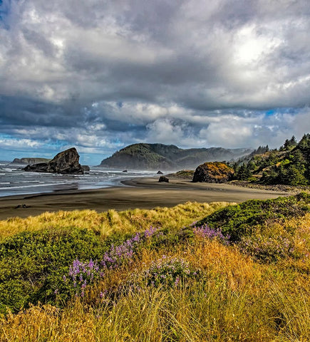 USA-Oregon-Cape Sebastian White Modern Wood Framed Art Print with Double Matting by Restuccia, Joe III