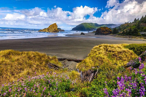 USA-Oregon-Cape Sebastian White Modern Wood Framed Art Print with Double Matting by Restuccia, Joe III