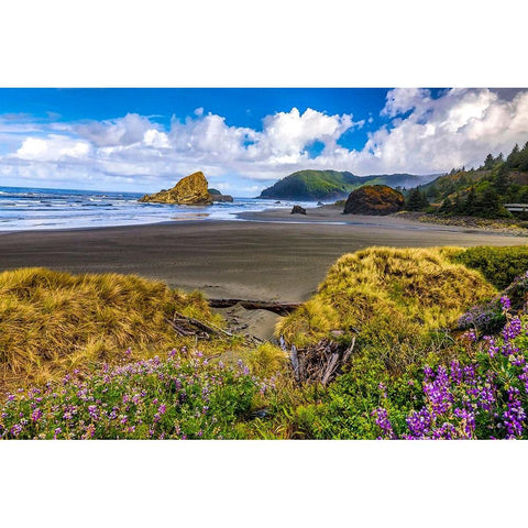 USA-Oregon-Cape Sebastian Black Modern Wood Framed Art Print with Double Matting by Restuccia, Joe III