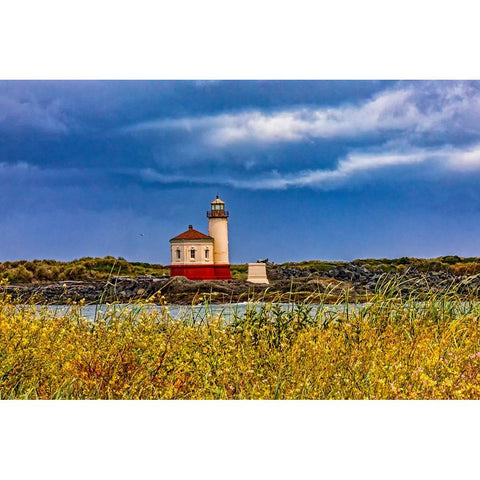 USA-Oregon-Bandon-Beach Black Modern Wood Framed Art Print by Restuccia, Joe III