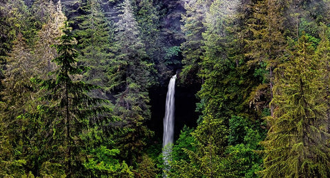 USA-Oregon-Silver Falls State Park-North Falls White Modern Wood Framed Art Print with Double Matting by Restuccia, Joe III