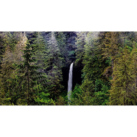 USA-Oregon-Silver Falls State Park-North Falls Gold Ornate Wood Framed Art Print with Double Matting by Restuccia, Joe III