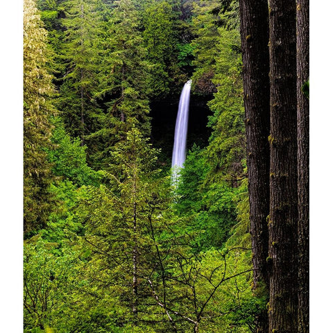 USA-Oregon-Silver Falls State Park-North Falls Black Modern Wood Framed Art Print by Restuccia, Joe III
