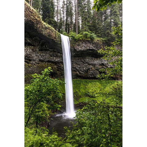 USA-Oregon-Silver Falls State Park-South Falls Black Modern Wood Framed Art Print by Restuccia, Joe III