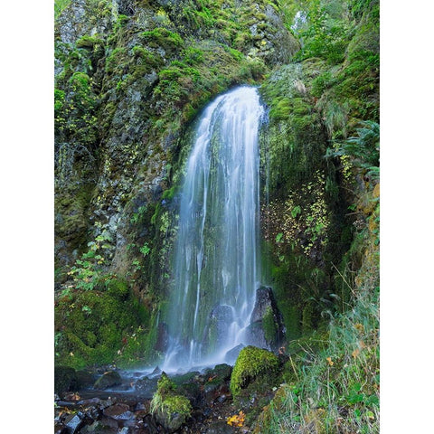Oregon-Columbia River Gorge National Scenic Area-Lancaster Falls Black Modern Wood Framed Art Print by Wild, Jamie and Judy