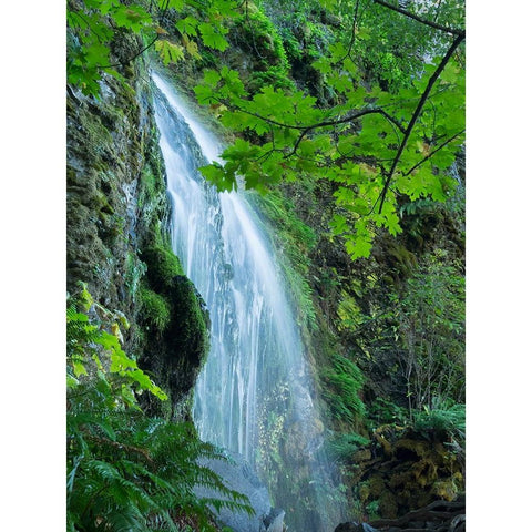 Oregon-Columbia River Gorge National Scenic Area-Lancaster Falls Black Modern Wood Framed Art Print by Wild, Jamie and Judy