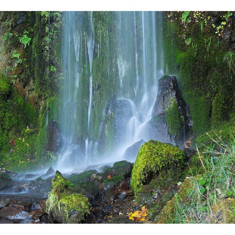 Oregon-Columbia River Gorge National Scenic Area-Lancaster Falls Black Modern Wood Framed Art Print by Wild, Jamie and Judy