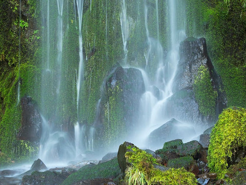 Oregon-Columbia River Gorge National Scenic Area-Lancaster Falls Black Ornate Wood Framed Art Print with Double Matting by Wild, Jamie and Judy