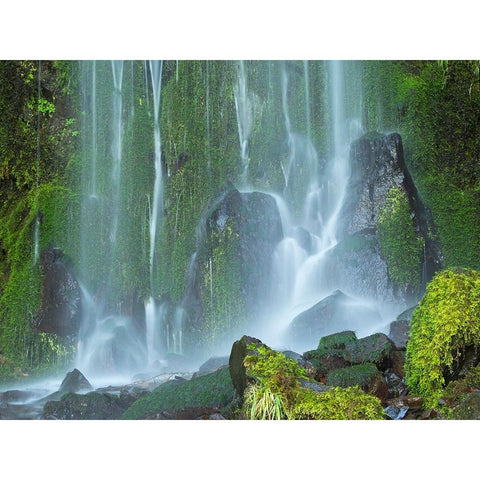 Oregon-Columbia River Gorge National Scenic Area-Lancaster Falls Gold Ornate Wood Framed Art Print with Double Matting by Wild, Jamie and Judy