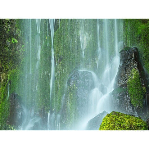 Oregon-Columbia River Gorge National Scenic Area-Lancaster Falls White Modern Wood Framed Art Print by Wild, Jamie and Judy