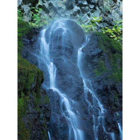 Oregon-Columbia River Gorge National Scenic Area-Cabin Creek Falls Black Modern Wood Framed Art Print by Wild, Jamie and Judy