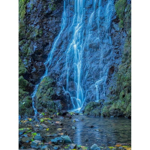 Oregon-Columbia River Gorge National Scenic Area-Cabin Creek Falls White Modern Wood Framed Art Print by Wild, Jamie and Judy