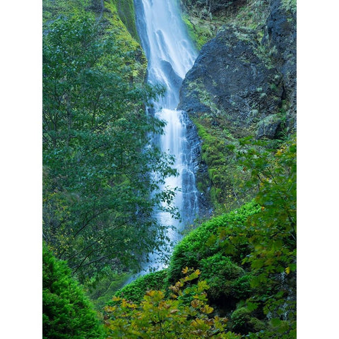 Oregon-Columbia River Gorge National Scenic Area-Starvation Creek Falls Black Modern Wood Framed Art Print with Double Matting by Wild, Jamie and Judy