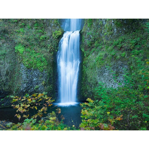 Oregon-Columbia River Gorge National Scenic Area-Multnomah Falls-lower Black Modern Wood Framed Art Print by Wild, Jamie and Judy