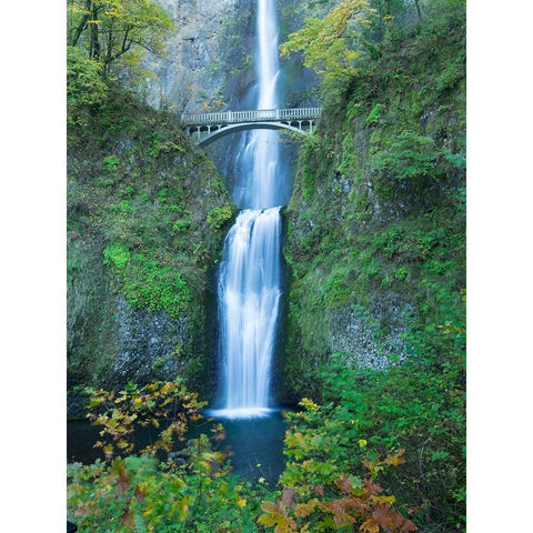 Oregon-Columbia River Gorge National Scenic Area-Multnomah Falls White Modern Wood Framed Art Print by Wild, Jamie and Judy