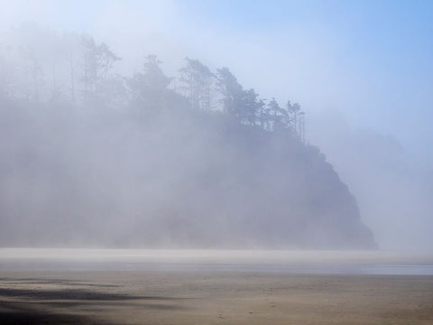 Oregon-Hug Point Morning fog White Modern Wood Framed Art Print with Double Matting by Wild, Jamie and Judy