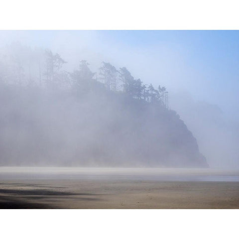 Oregon-Hug Point Morning fog Black Modern Wood Framed Art Print by Wild, Jamie and Judy