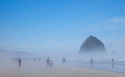 Oregon-Cannon Beach Haystack Rock-beachgoers in fog Black Ornate Wood Framed Art Print with Double Matting by Wild, Jamie and Judy