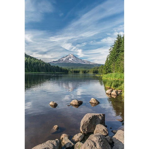 Oregon-Mt Hood National Forest Trillium Lake and Mt Hood Black Modern Wood Framed Art Print by Tilley, Rob