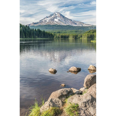 Oregon-Mt Hood National Forest Trillium Lake and Mt Hood Gold Ornate Wood Framed Art Print with Double Matting by Tilley, Rob