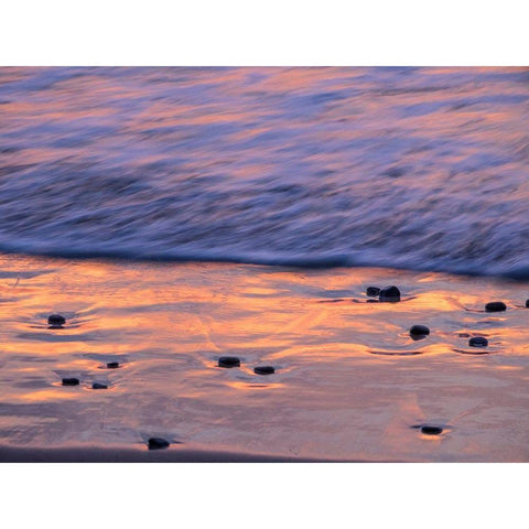 Oregon-Cape Arch-Pacific ocean evening light on surf White Modern Wood Framed Art Print by Gulin, Sylvia