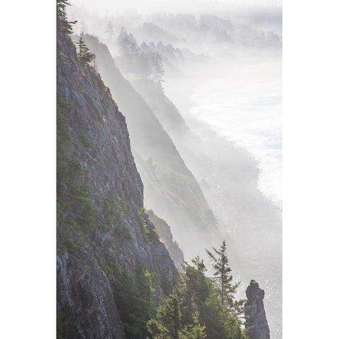 Oregon-Oswald West State Park and cliff bluffs looking towards Manzanita with lifting fog Gold Ornate Wood Framed Art Print with Double Matting by Gulin, Sylvia