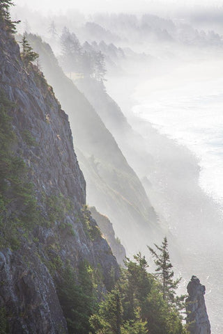 Oregon-Oswald West State Park and cliff bluffs looking towards Manzanita with lifting fog White Modern Wood Framed Art Print with Double Matting by Gulin, Sylvia