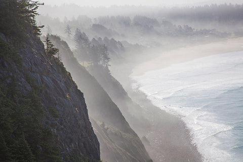 Oregon-Oswald West State Park and cliff bluffs looking towards Manzanita with lifting fog Black Ornate Wood Framed Art Print with Double Matting by Gulin, Sylvia