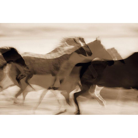 Sepia abstract of wild mustangs (Equus caballus) running Oregon-USA Black Modern Wood Framed Art Print by Westmorland, Stuart