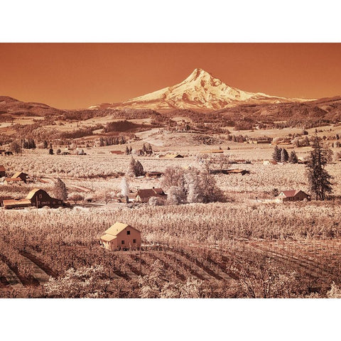 USA-Oregon-Columbia Gorge Infrared of spring orchards in bloom and Mount Hood Gold Ornate Wood Framed Art Print with Double Matting by Eggers, Terry