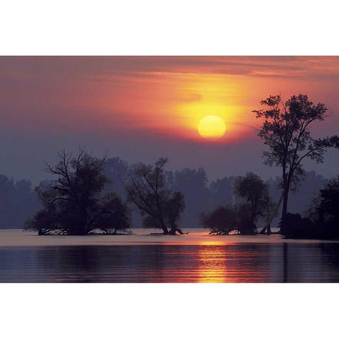 PA, Erie, Presque Isle SP, Sunset over lake Gold Ornate Wood Framed Art Print with Double Matting by Anon, Ellen