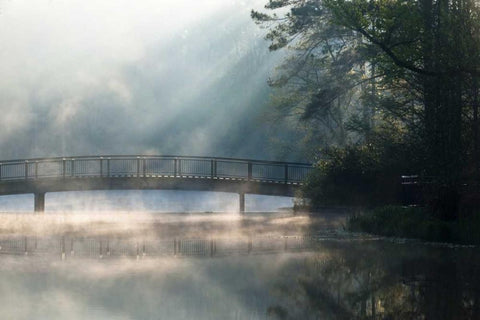 Georgia Sunlit mist on bridge over lake White Modern Wood Framed Art Print with Double Matting by Rotenberg, Nancy