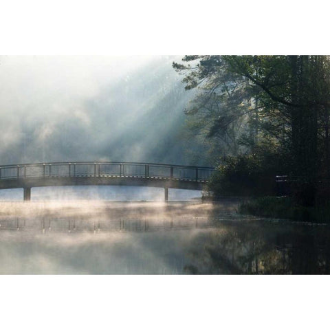 Georgia Sunlit mist on bridge over lake Black Modern Wood Framed Art Print by Rotenberg, Nancy