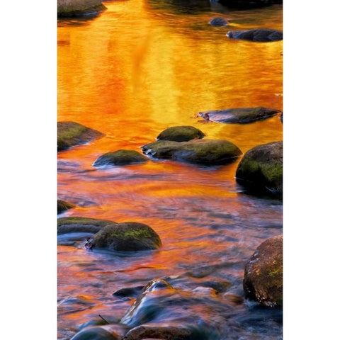 PA, Delaware Water Gap Bright sun on water Black Modern Wood Framed Art Print by OBrien, Jay