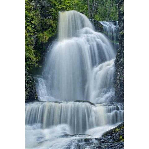 PA, Dingmans Ferry Dingmans Falls and forest Gold Ornate Wood Framed Art Print with Double Matting by OBrien, Jay