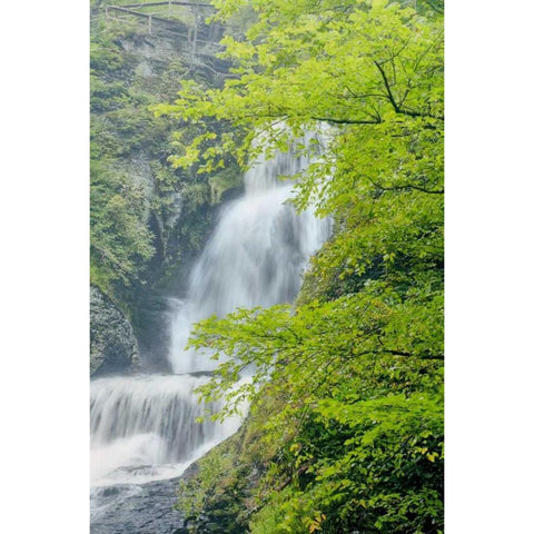 PA, Dingmans Ferry, Dingmans Ferry Falls Black Modern Wood Framed Art Print by OBrien, Jay