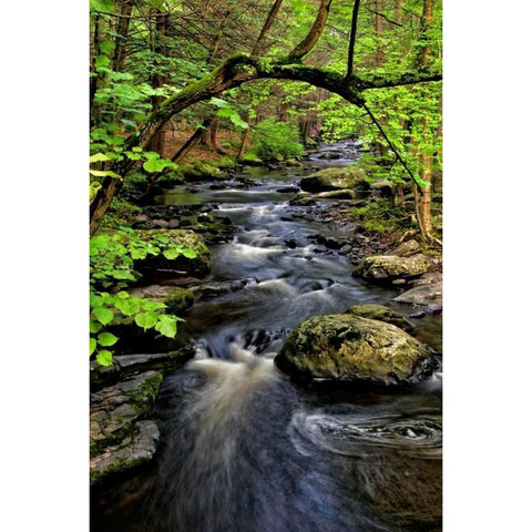 PA, Dingmans Ferry, Childs Park Dingmans Creek Black Modern Wood Framed Art Print with Double Matting by OBrien, Jay