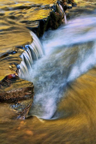 PA, Dingmans Ferry Autumn waterfall over rocks Black Ornate Wood Framed Art Print with Double Matting by OBrien, Jay