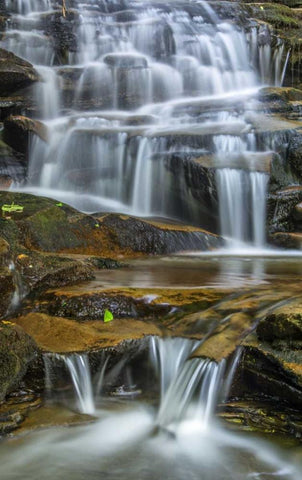 Pennsylvania Waterfall in Ricketts Glen SP White Modern Wood Framed Art Print with Double Matting by OBrien, Jay