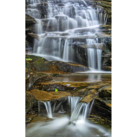 Pennsylvania Waterfall in Ricketts Glen SP White Modern Wood Framed Art Print by OBrien, Jay