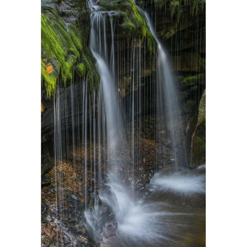 Pennsylvania Waterfall in Ricketts Glen SP Black Modern Wood Framed Art Print by OBrien, Jay