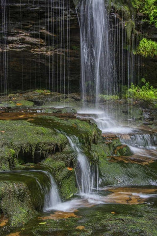Pennsylvania Waterfall in Ricketts Glen SP Black Ornate Wood Framed Art Print with Double Matting by OBrien, Jay